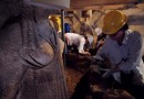 Συνέχιζονται οι ανασκαφικές εργασίες με πλήρη αποκάλυψη των καρυάτιδων στον λόφο Καστά Αμφίπολης